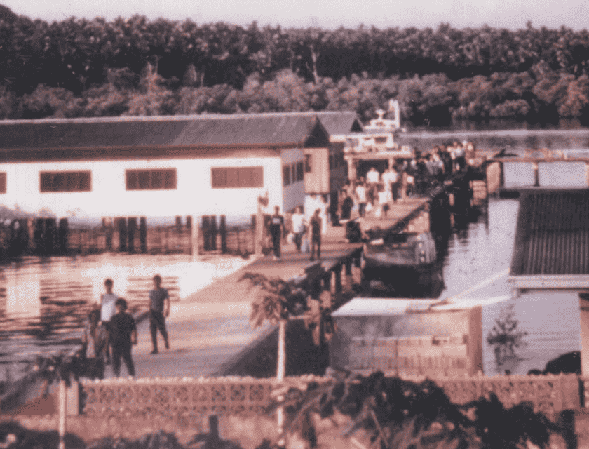 MSU TCTO Early Years